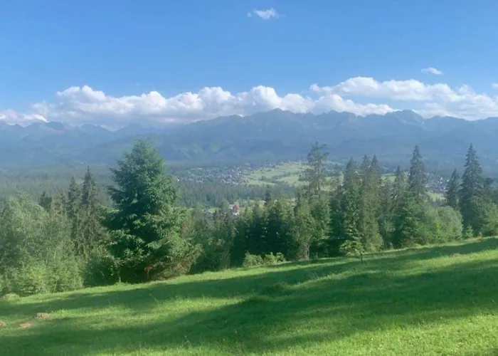 Dream פורונין